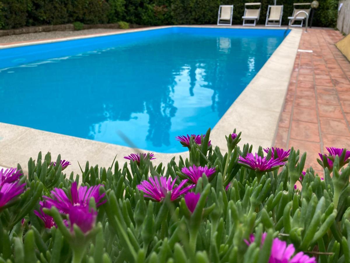 Sunset Hill - Tuscany - Villa & Private Pool Кастельфьорентино Экстерьер фото